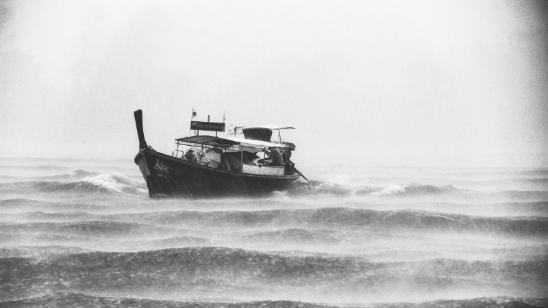 Il trionfo del lavoro di&nbsp;squadra
